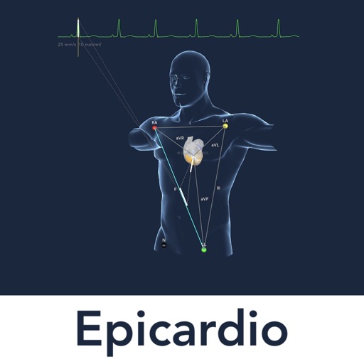 heart simulator