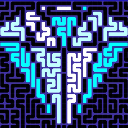 pathpix pro