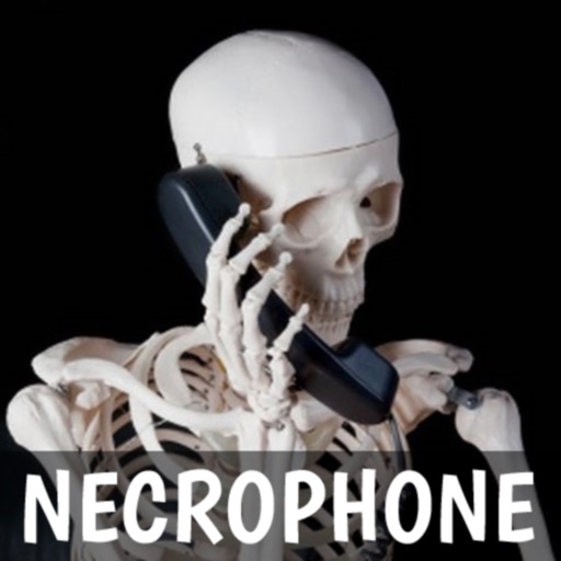 necrophone real spirit box