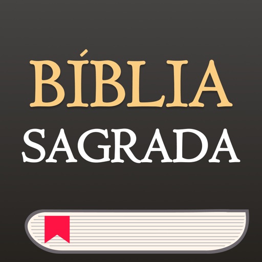 bíblia sagrada: evangelho dia