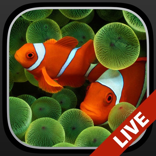 aquarium fond d'écran animé