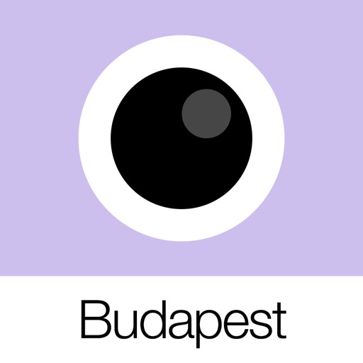 analog budapest