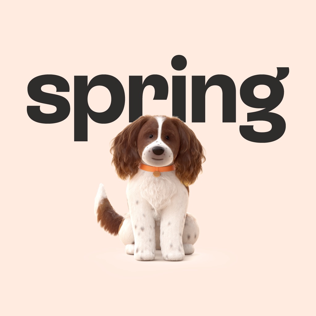 Spring: Easy Access Savings