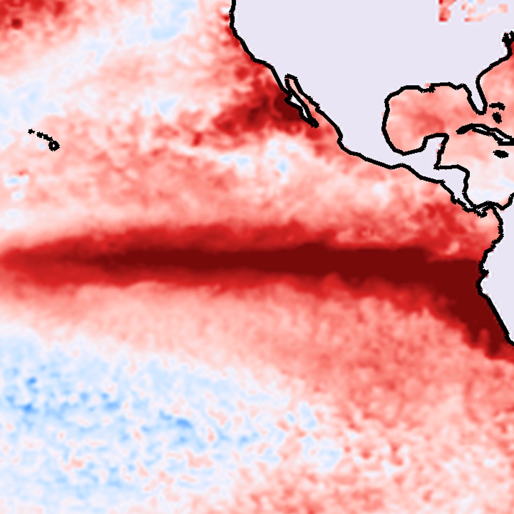 El Niño Forecast