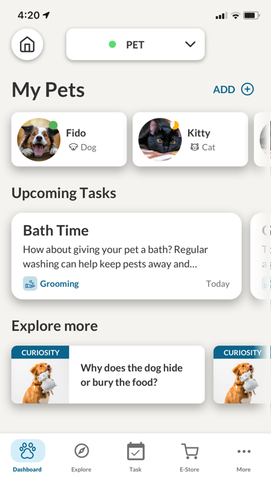screenshot 10