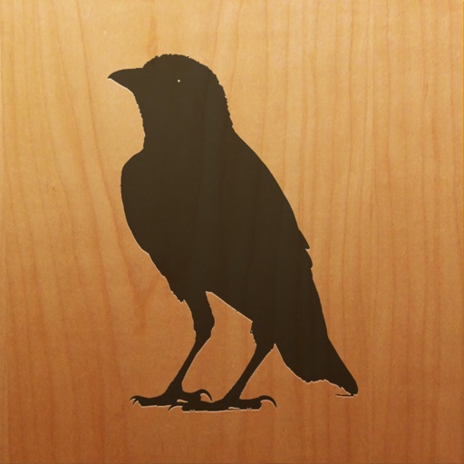 blackbird!