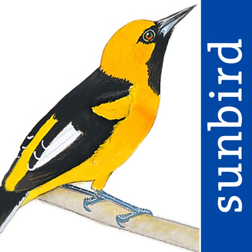 all birds ecuador field guide