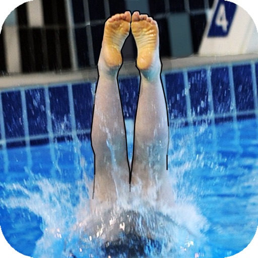 divechamp