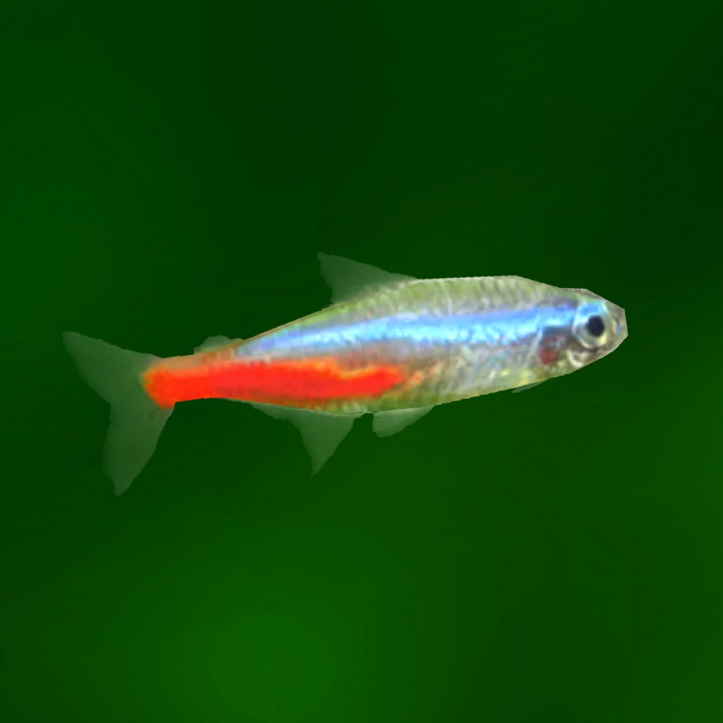 熱帯魚育成「ミニアクア」癒しのアクアリウム体験