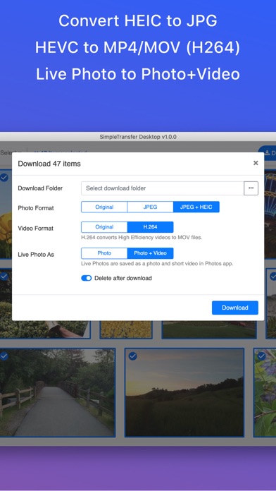 screenshot 5