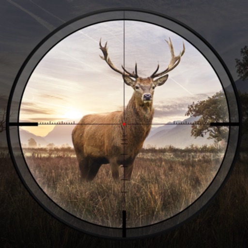 hunting sniper : safari