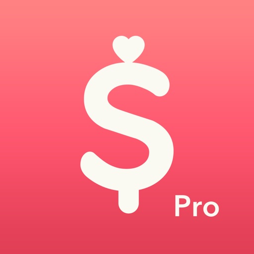ミニバジェット pro