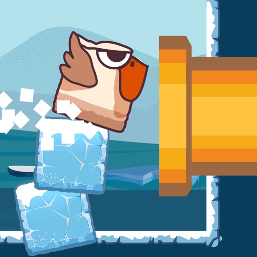 bird watch game: learn to flap