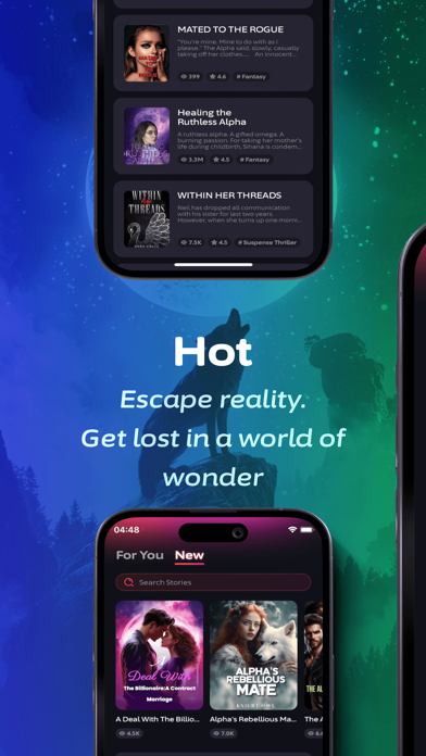 screenshot 3
