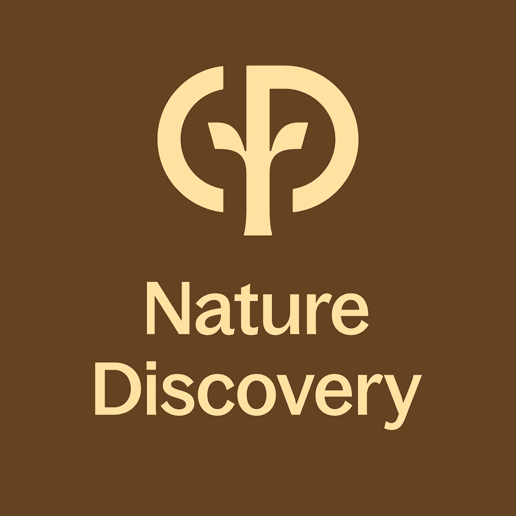 Nature Discovery by CP