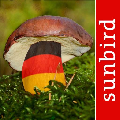 pilzführer deutschland, pilze!