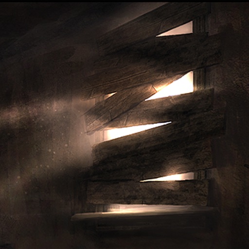 the house in the dark