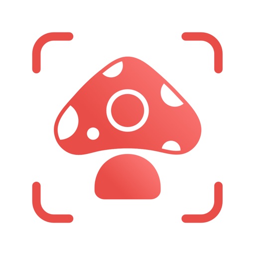 picture mushroom: identifier