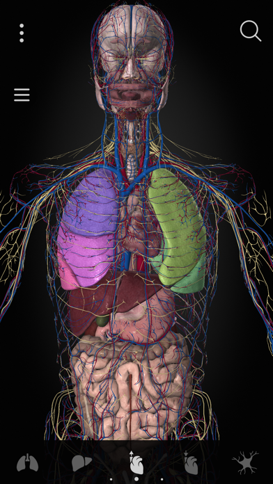 screenshot 10
