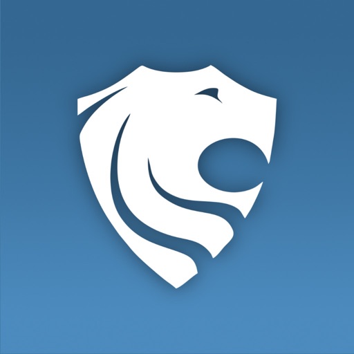 pocketlion budget