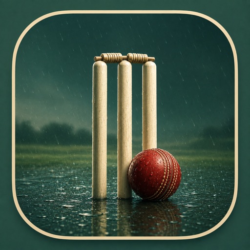 rain stopped play