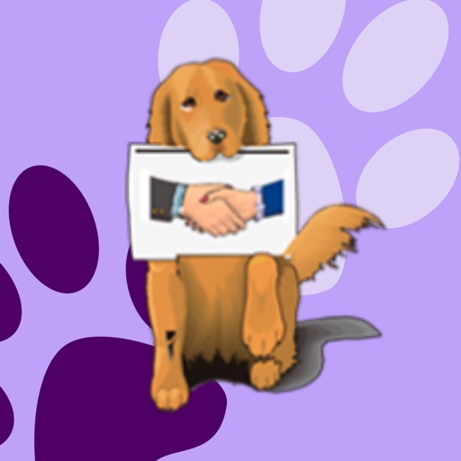 basic dog training