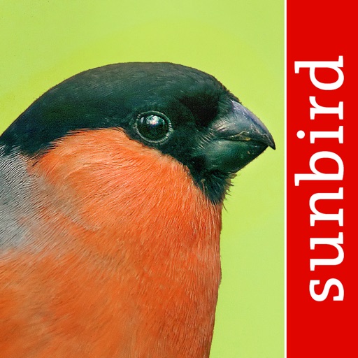 vogel id gartenvögel bestimmen