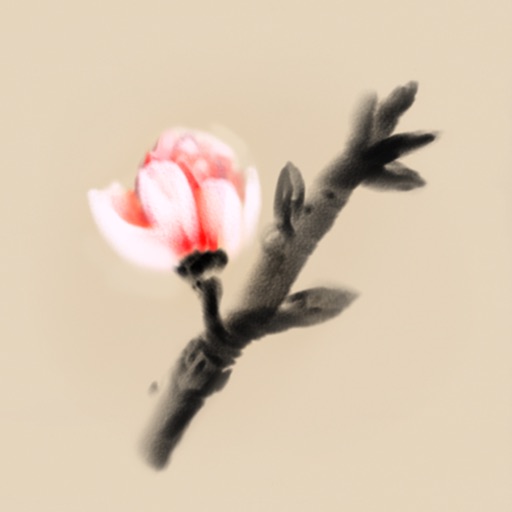 mirages d'hiver