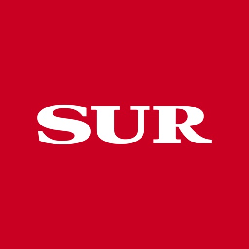 diario sur