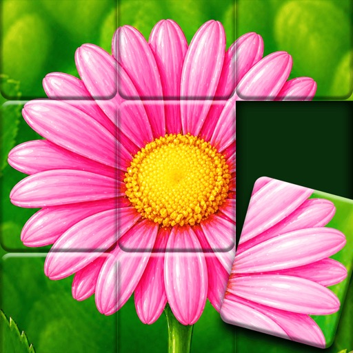 jigsort®: solitaire