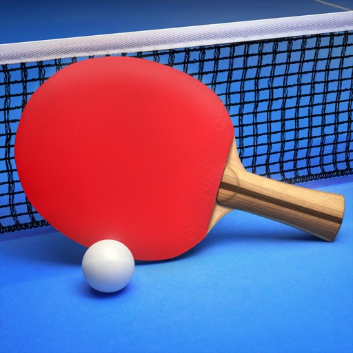 ping pong fury: table tennis