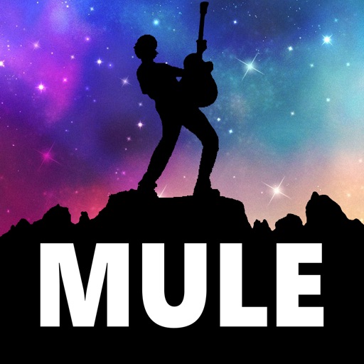 mule ๊ณต์ ์ฑ