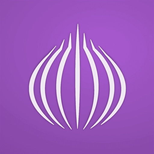 tor browser: ornet onion + vpn