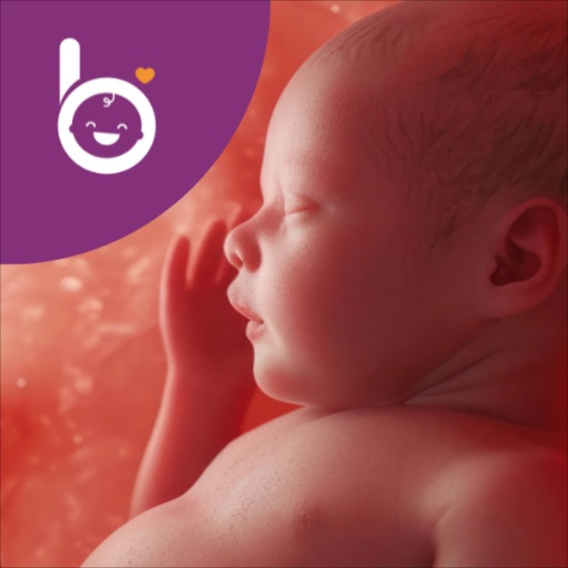 babelli schwangerschafts app
