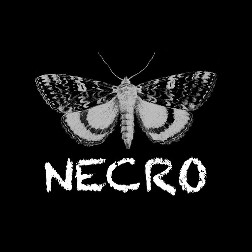 necrometer - spirit box