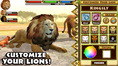 screenshot 5