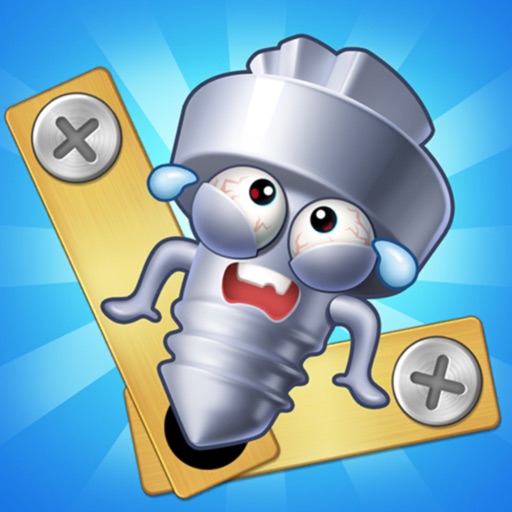 take off bolts: screw puzzle