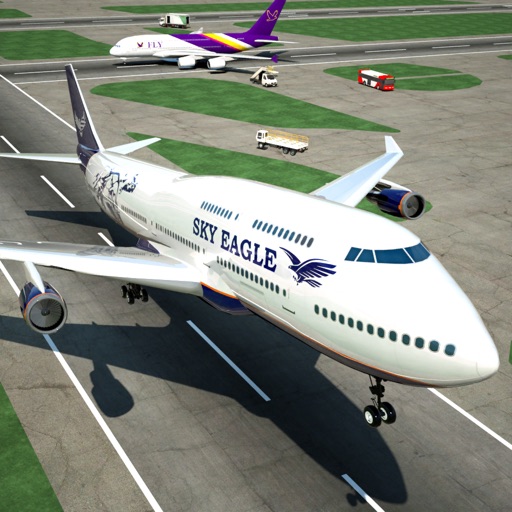 airplane pro: flight simulator