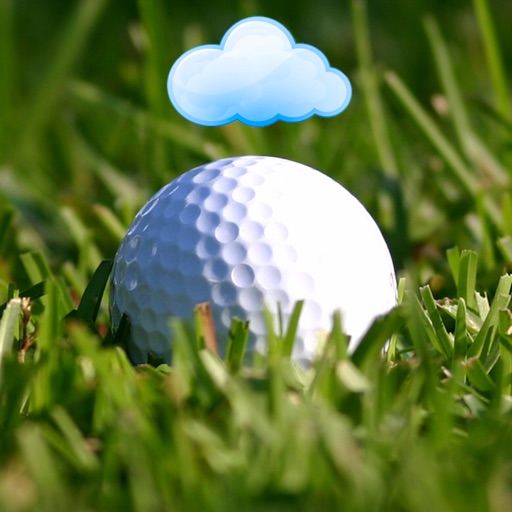 golf buddies -  online tracker