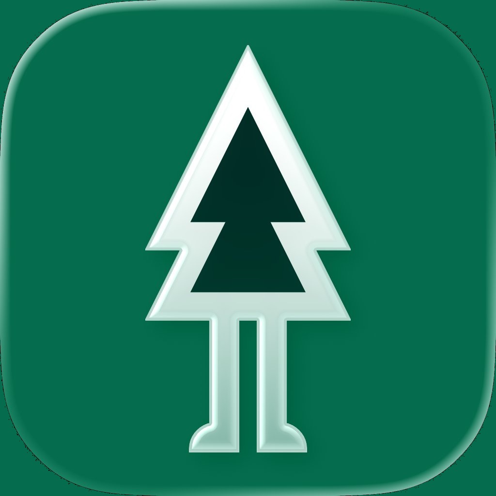Forest - eBike Sharing