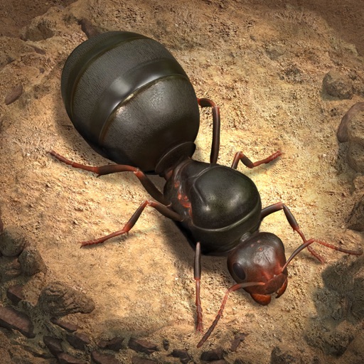the ants: underground kingdom