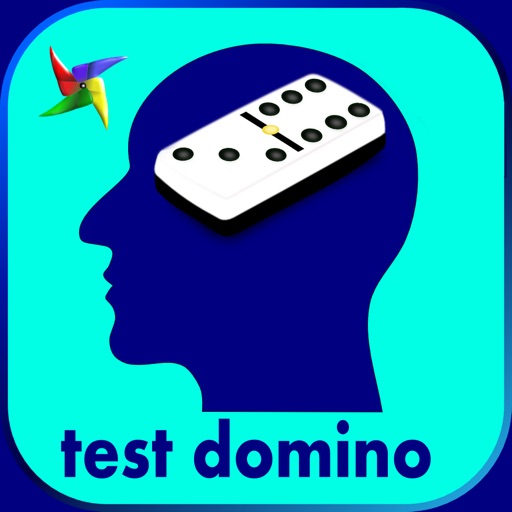 test psychotechnique domino