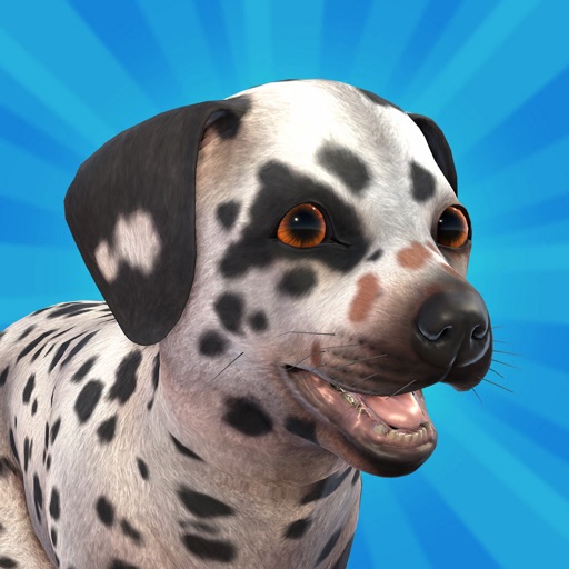 pocket paws: my lovely dogs
