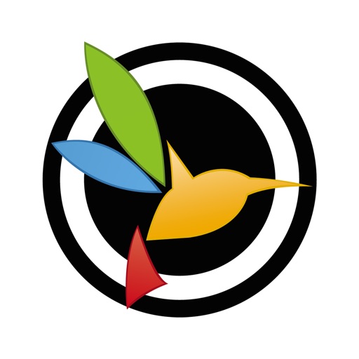 blackvue
