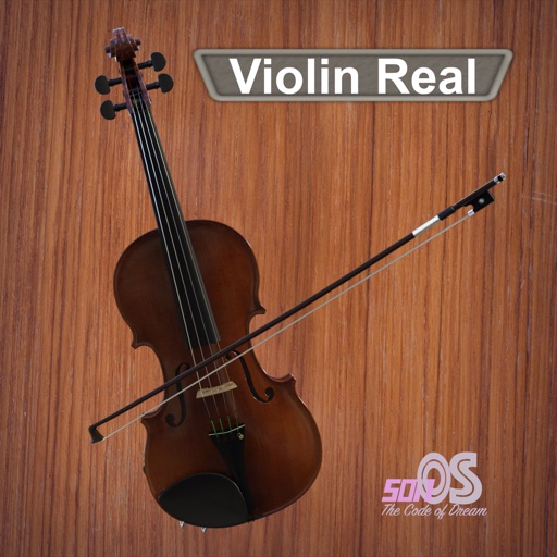 violin real
