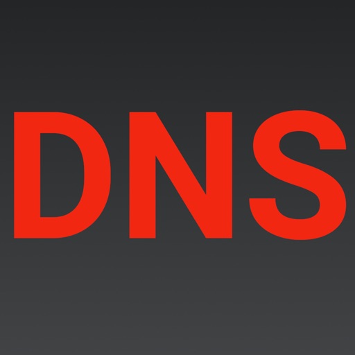 simple dns