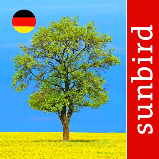 baum id deutschland