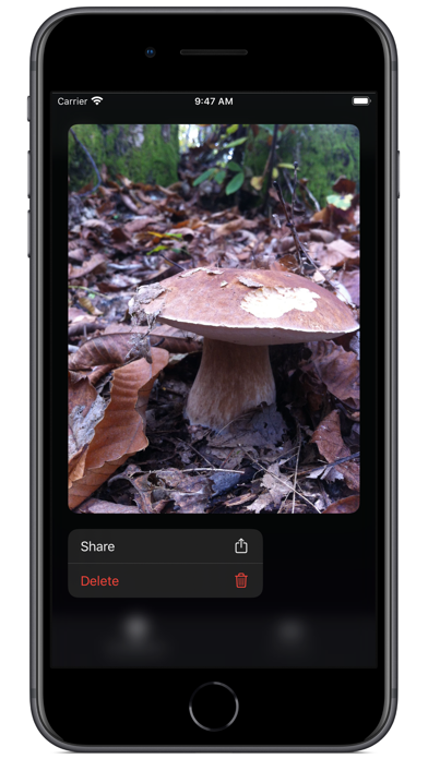 screenshot 7