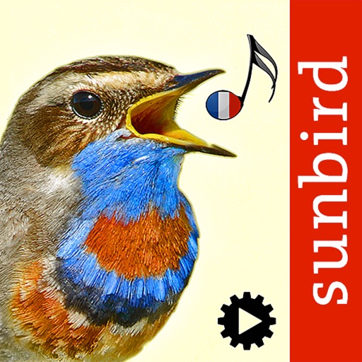 chants d’oiseaux automatique