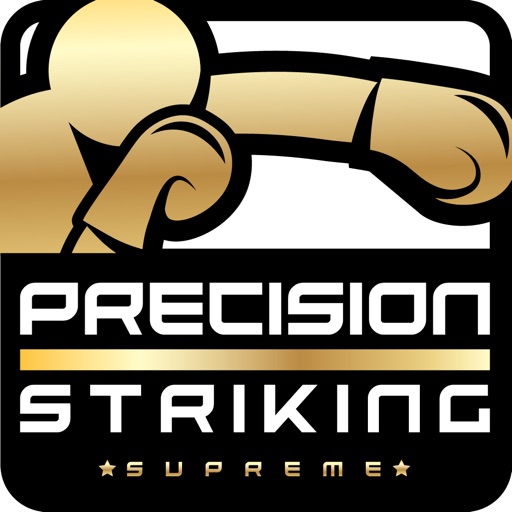 precision boxing coach pro